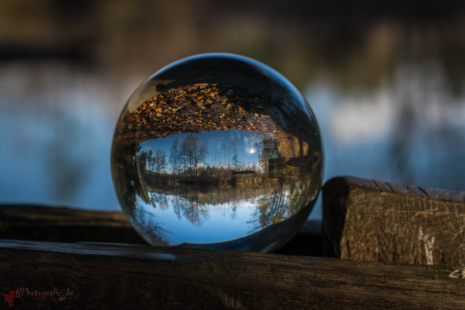 Die Natur mit anderen Augen sehen