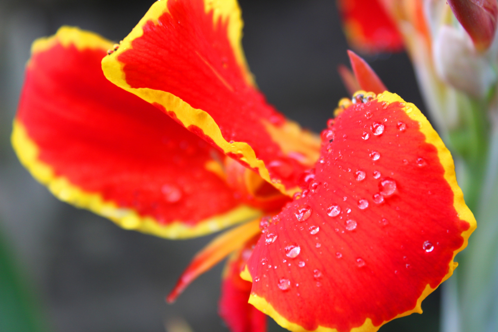 Die Natur mit ihren Farben