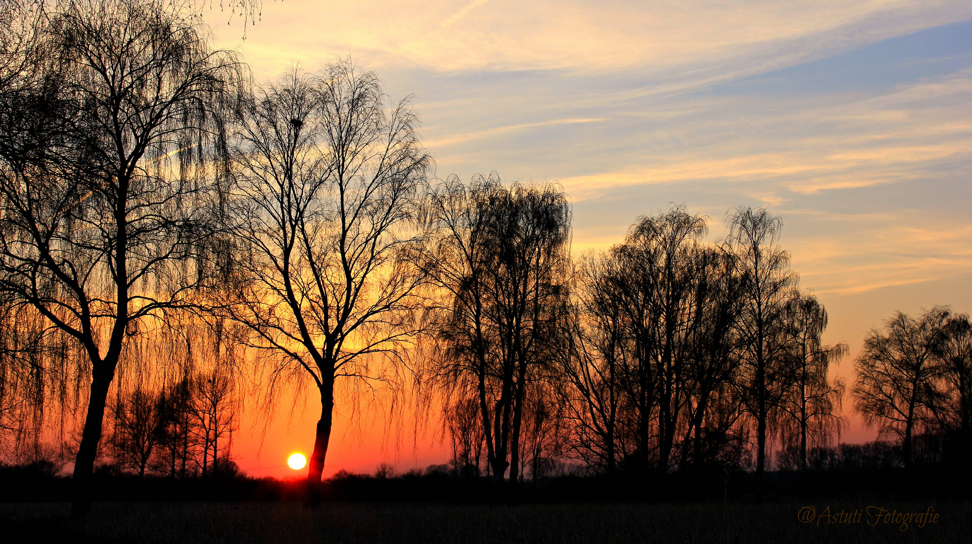 Die Natur muß gefühlt werden.