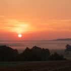 die Natur noch schlummernd unter einer Nebeldecke