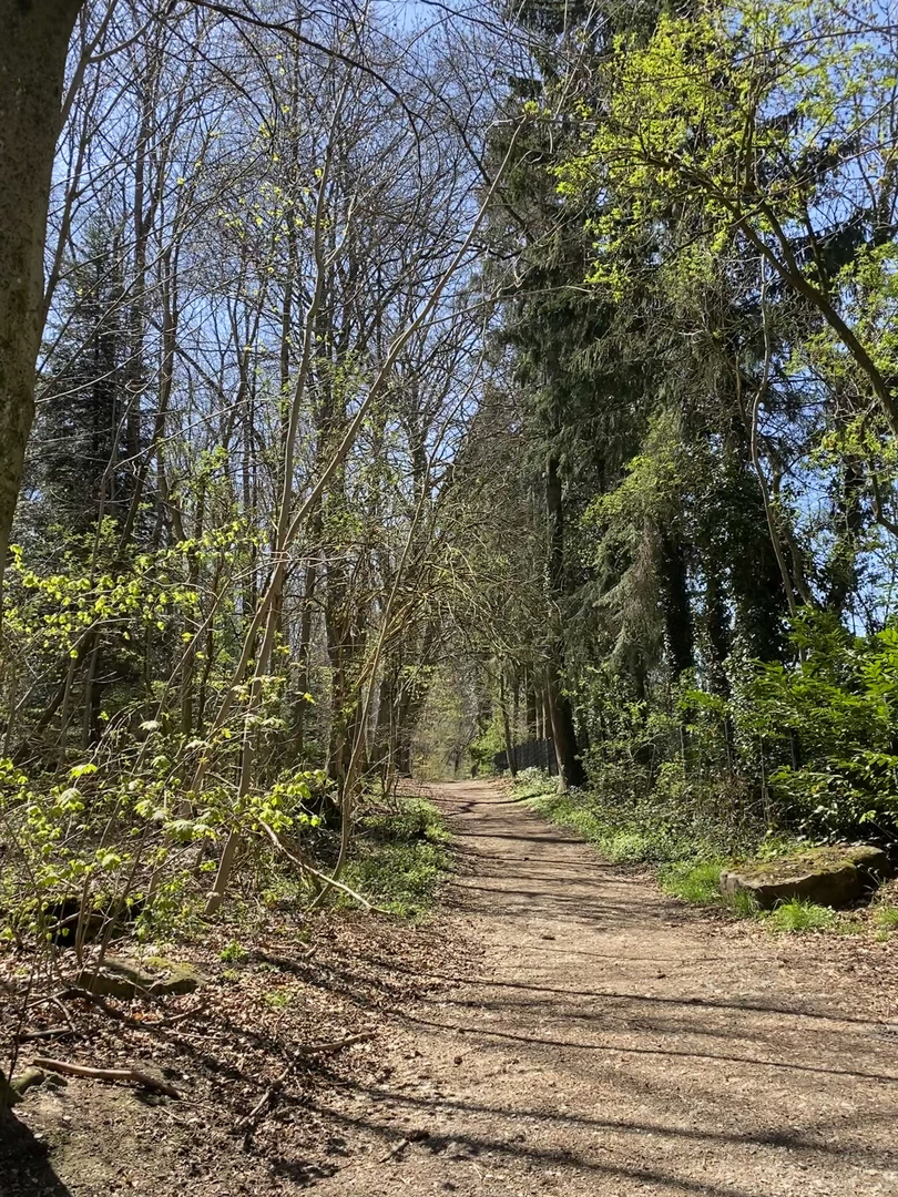 Die Natur oberhalb von Stuttgart im Frühling 