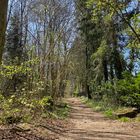 Die Natur oberhalb von Stuttgart im Frühling 