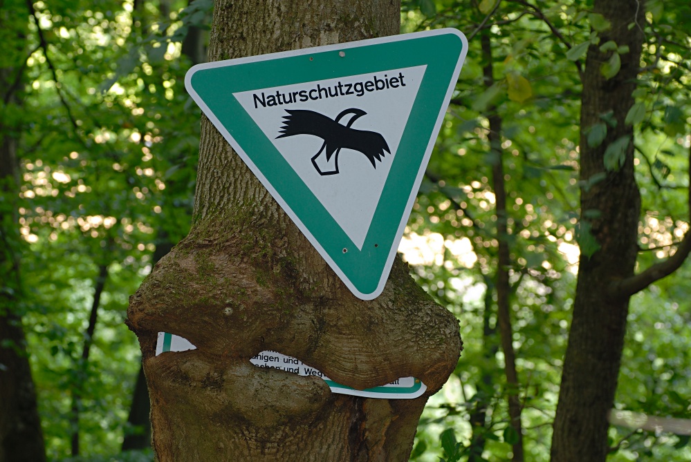 Die Natur rächt sich . . . .