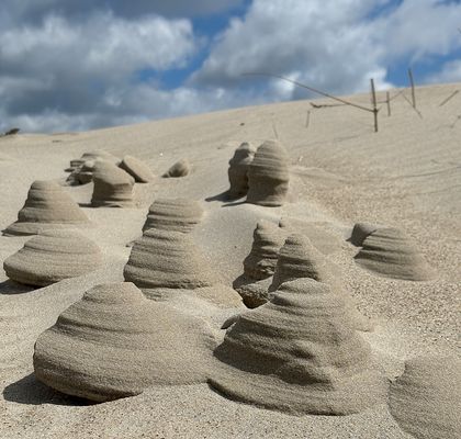 Die Natur schafft die schönsten Kunstwerke