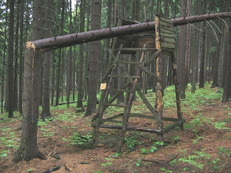 Die Natur schlägt zurück