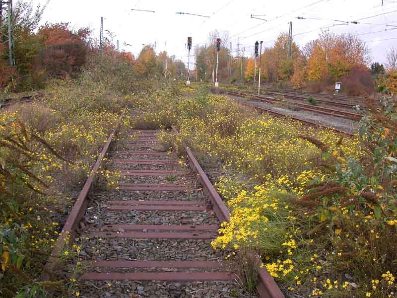 Die Natur schlägt zurück von  Hans Aussem