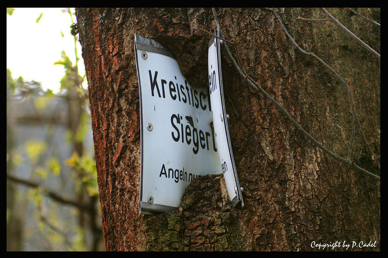 . . . die Natur schlägt zurück !