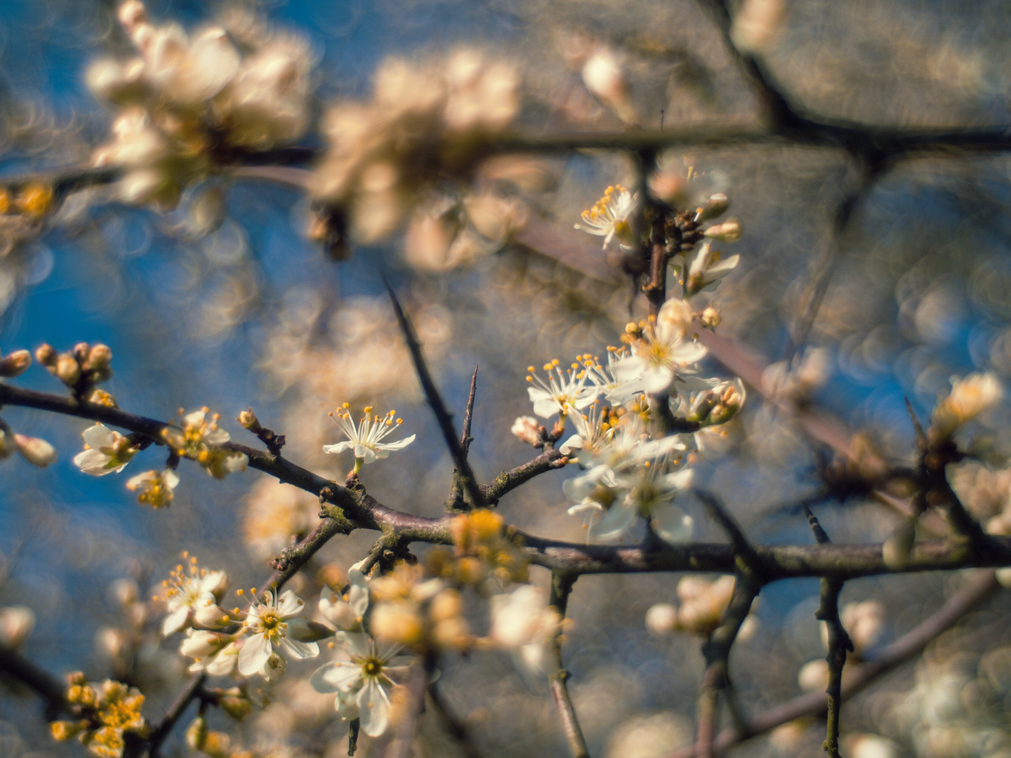 die Natur schützt Ihre Kinder