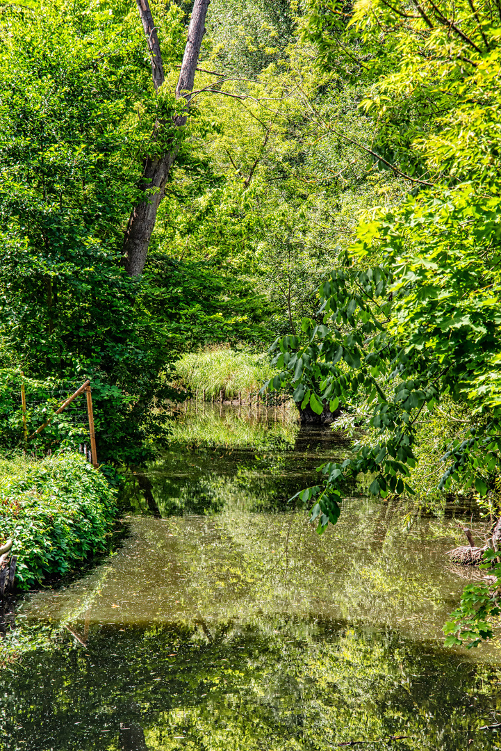 die Natur sich selbst überlassen