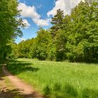 Die Natur steht voll im Saft, Frühlingswanderung zum Vogelwoog.