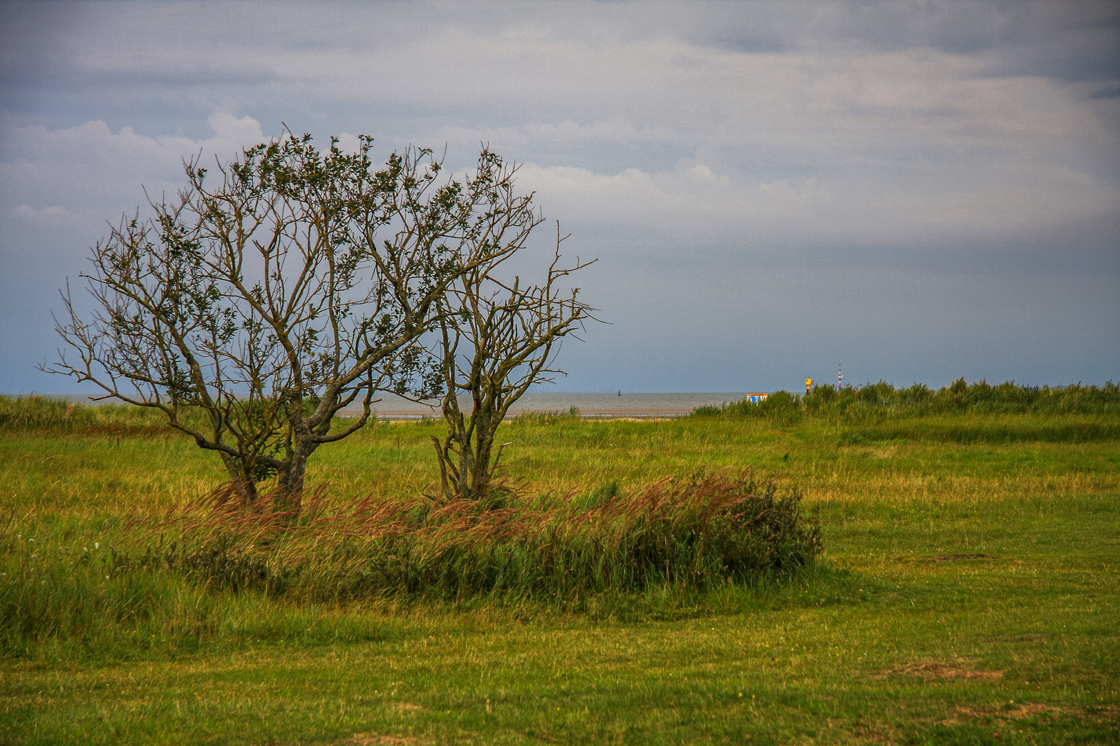 Die Natur sucht sich ihren....