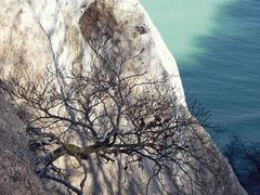 Die Natur sucht sich ihren Weg