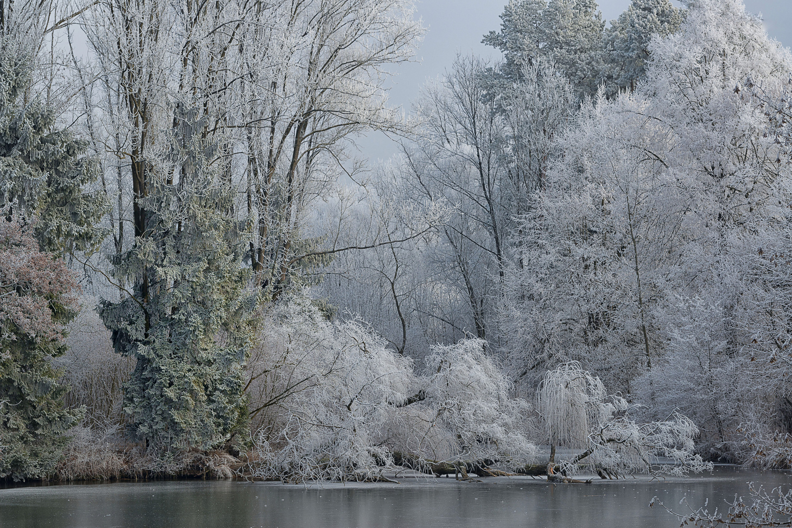 die Natur trägt Brautkleider