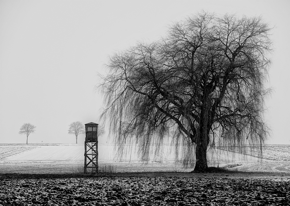 die natur trauert