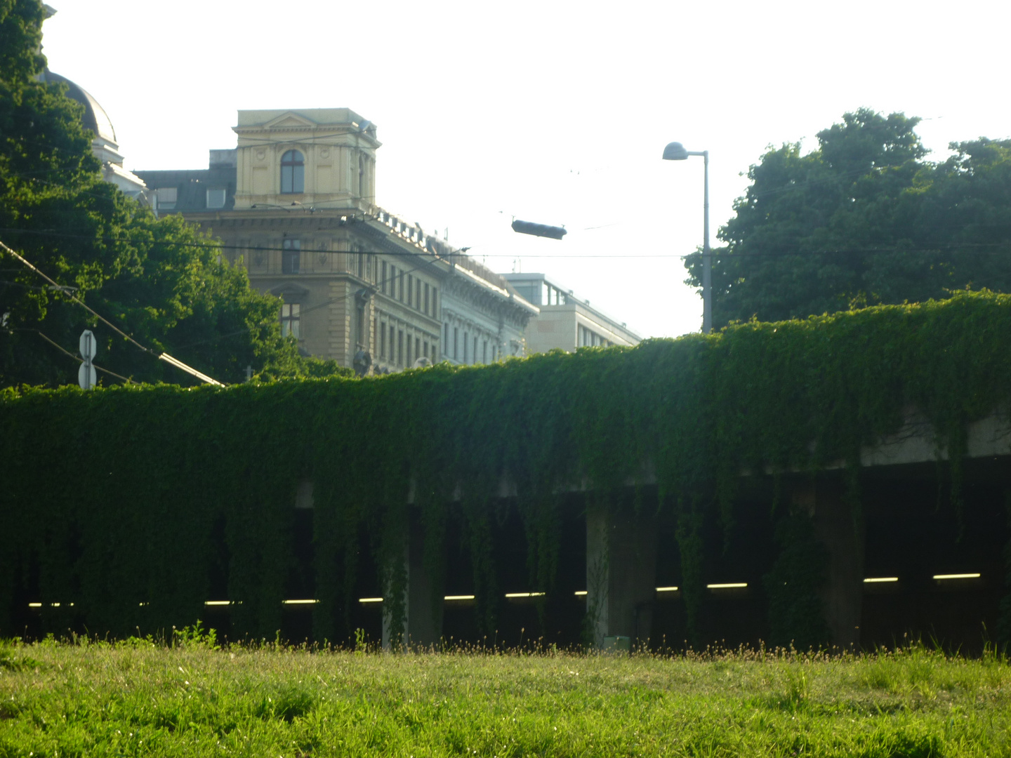 die Natur - Überall