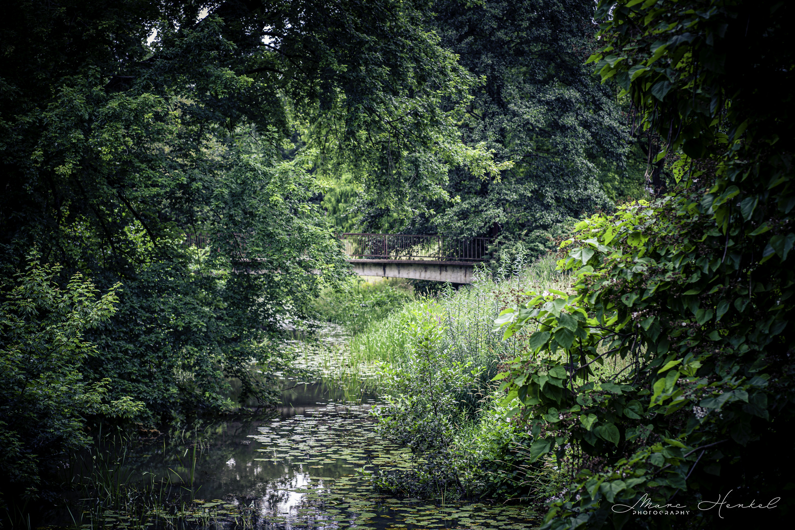 Die Natur und die Brücke