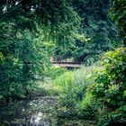 Die Natur und die Brücke