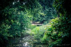 Die Natur und die Brücke