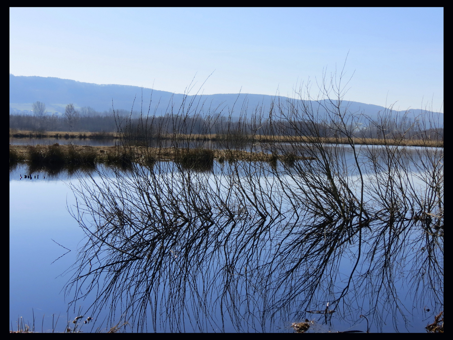 Die Natur und Ihr Spiegel