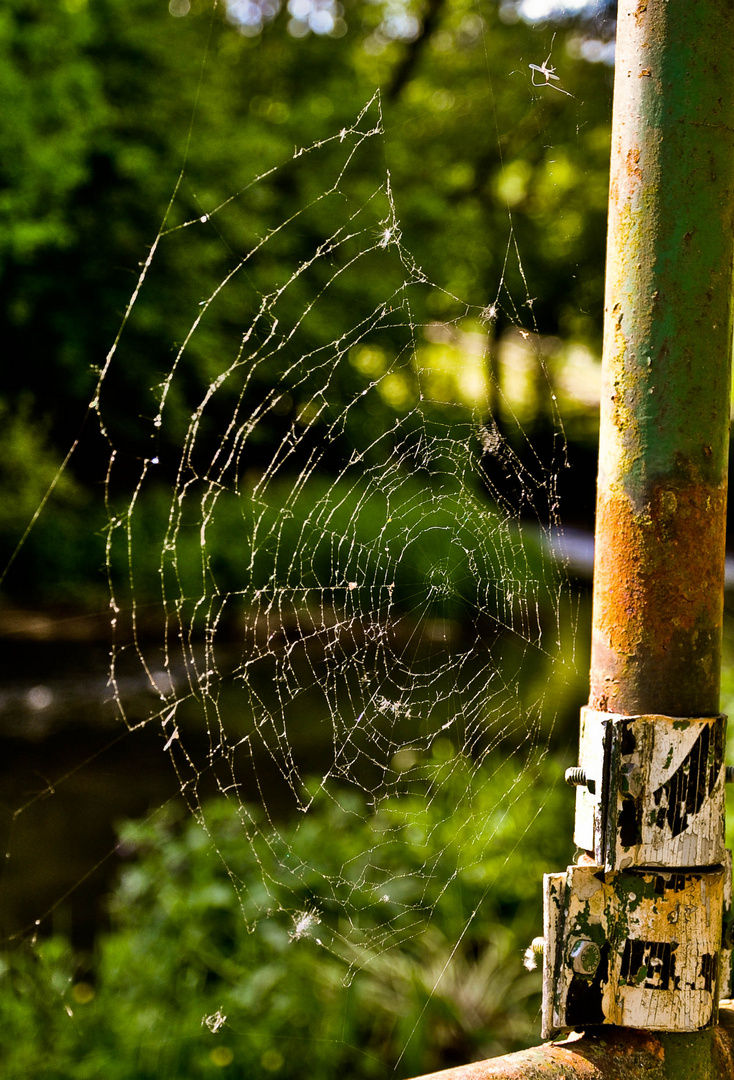 Die Natur und ihre Spuren