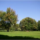 Die Natur verändert sich langsam.