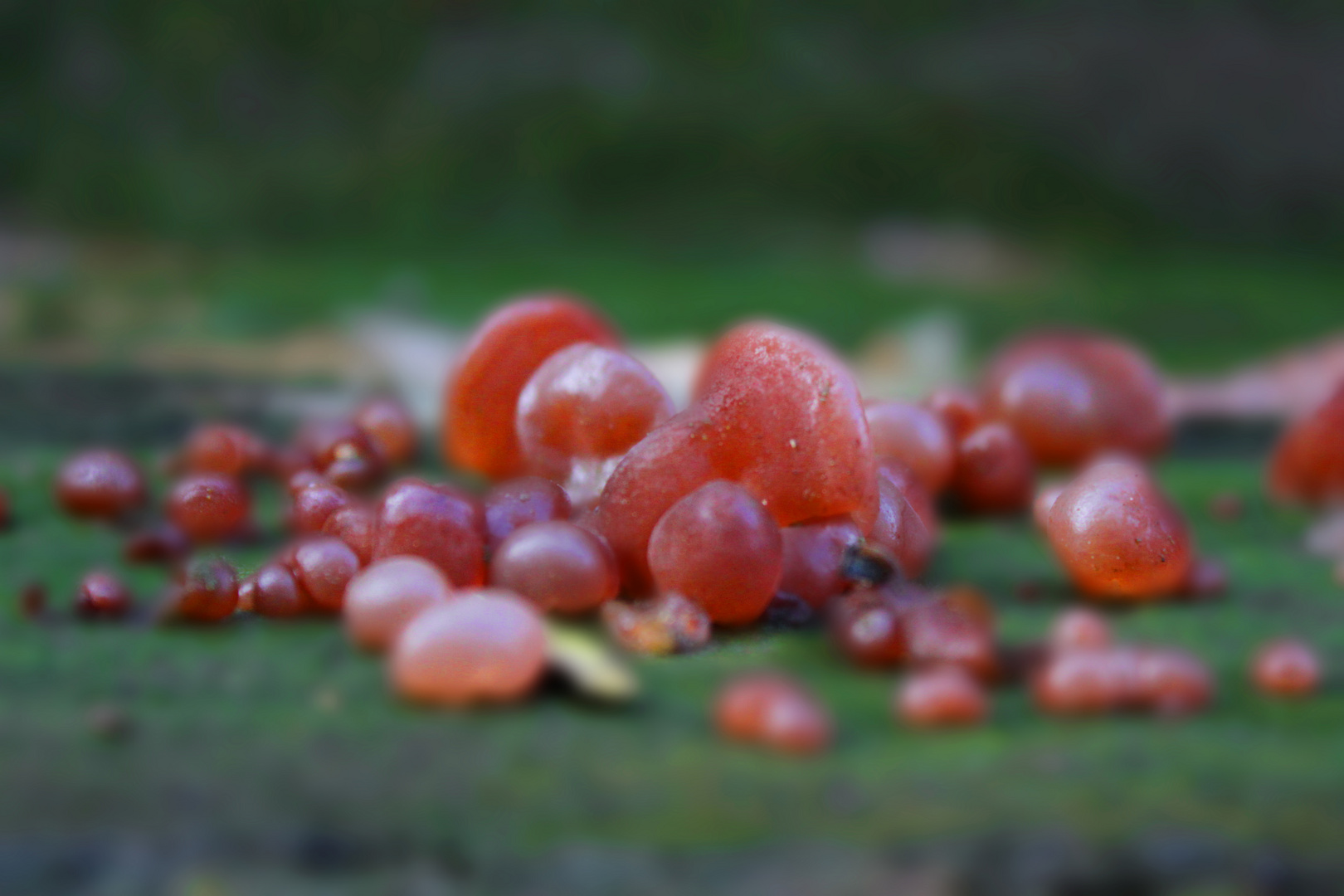 Die Natur von der schönen Seite