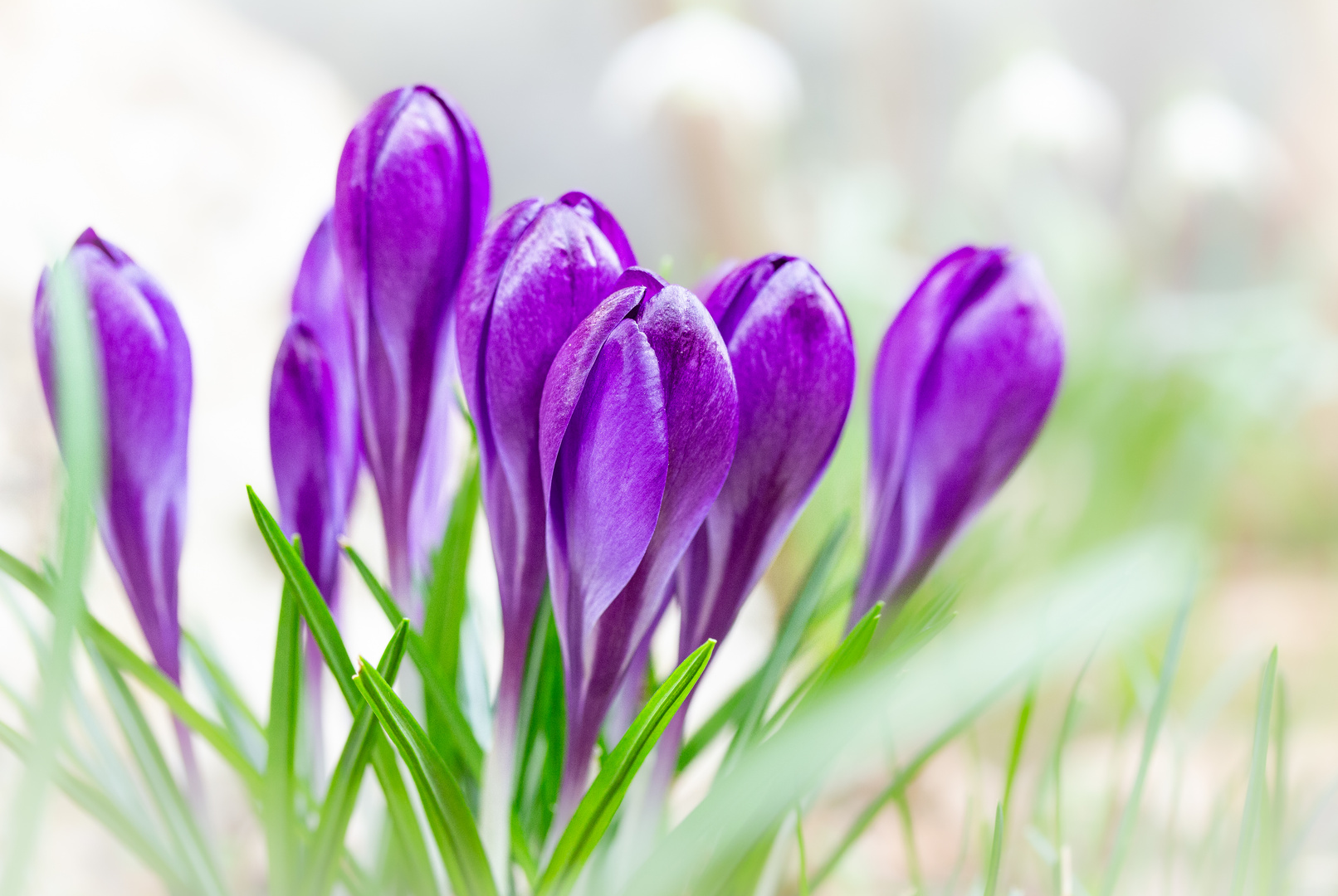 Die Natur zaubert immer noch die besten Farben