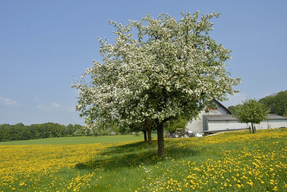 Die Natur zeigt ihre Schönheit