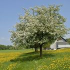 Die Natur zeigt ihre Schönheit