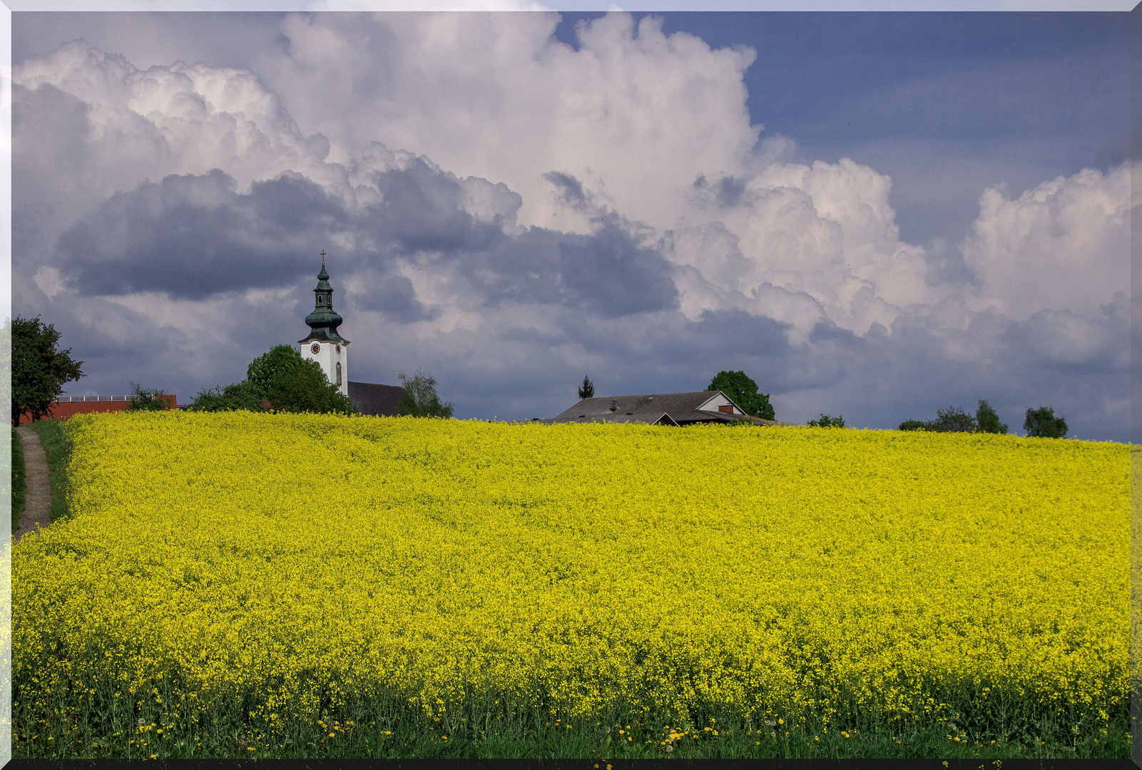 die Natur zeigt sich von ihrer schönsten Seite