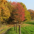 Die Natur zeigt uns ihre schönsten Farben