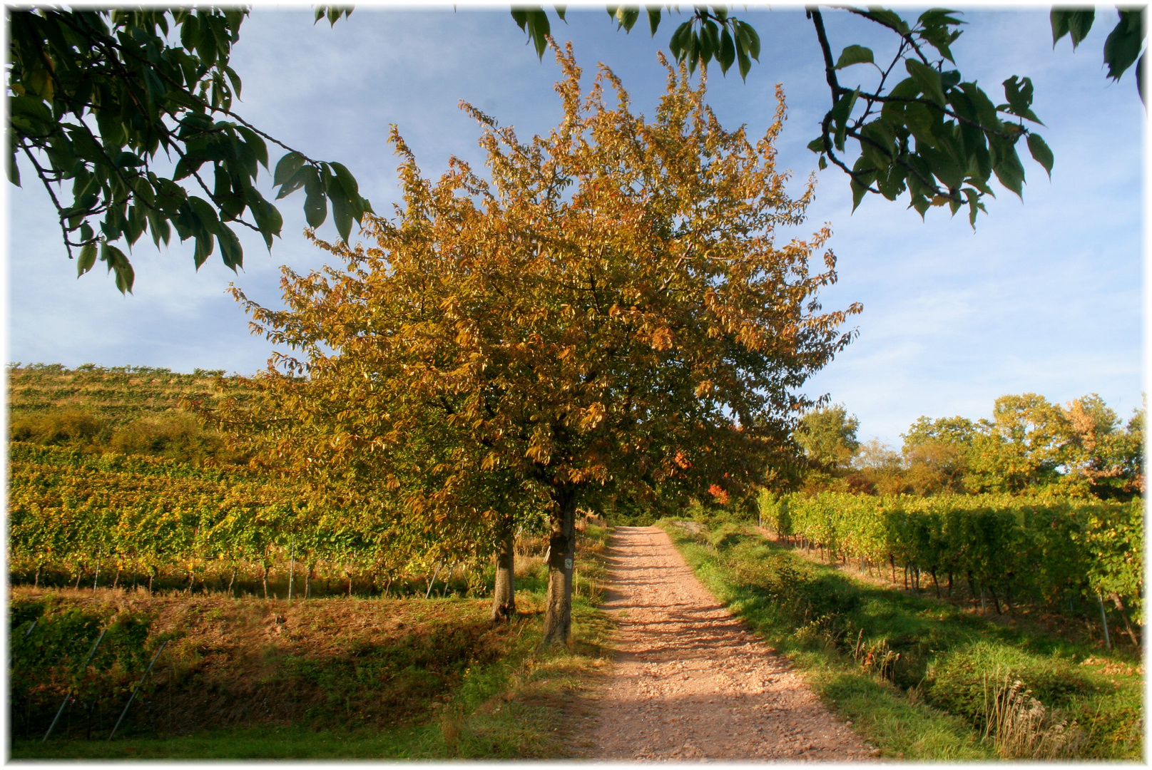 Die Natur zieht Ihr Herbstkeid an