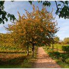 Die Natur zieht Ihr Herbstkeid an