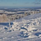 die Natur...im Winterschlaf