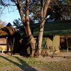 Die Ndhovu-Lodge