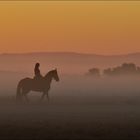 die Nebel...