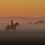 die Nebel...