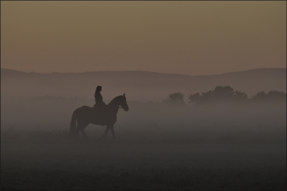 .die Nebel