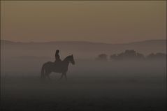 .die Nebel