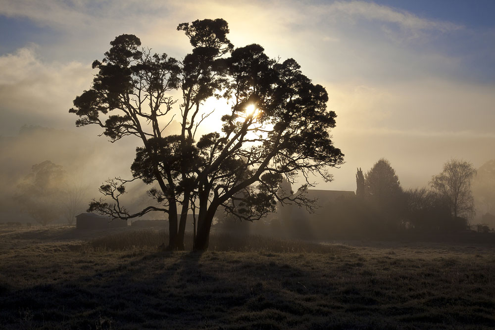 Die Nebel des Morgens