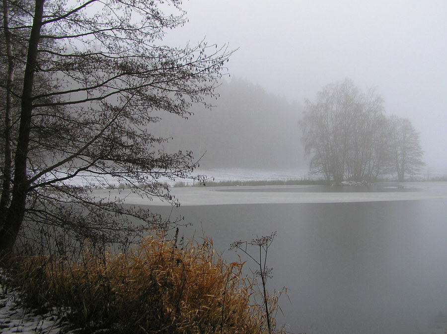 die nebel fallen