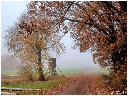Die Nebel haben dass Land im Griff !