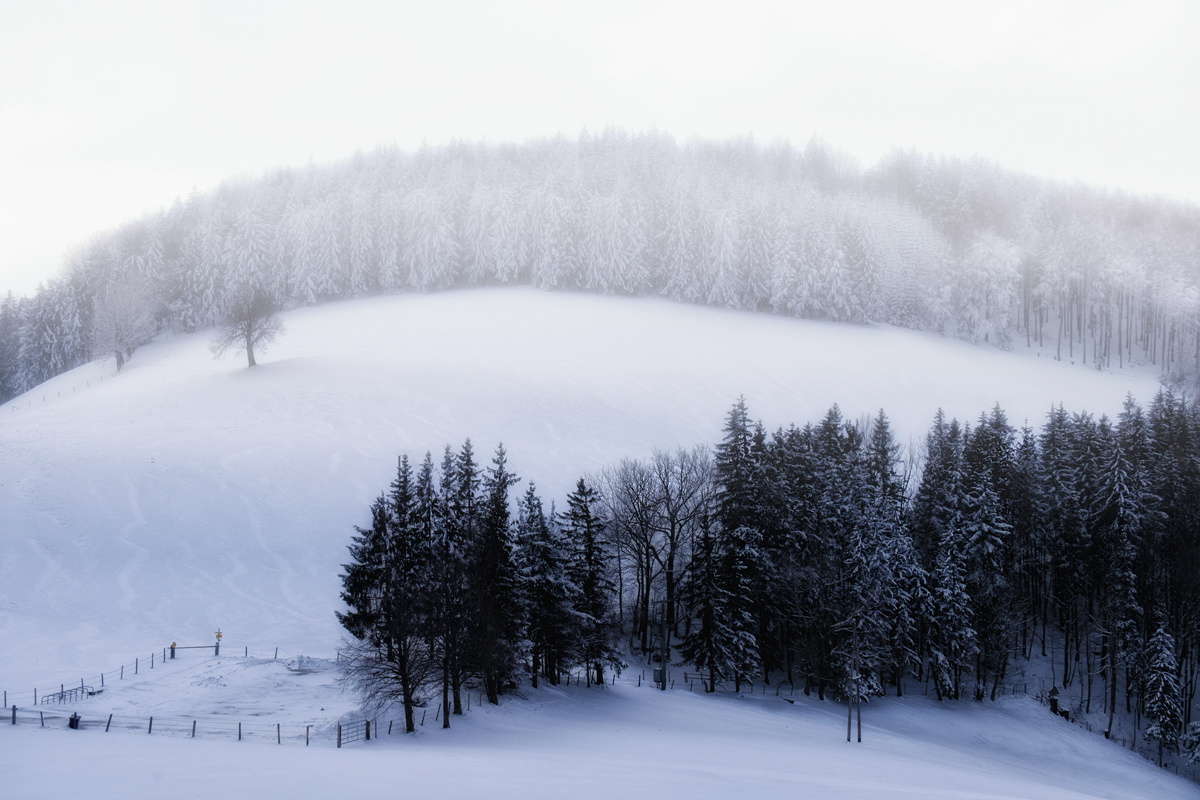 Die Nebel lichten sich