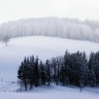 Die Nebel lichten sich