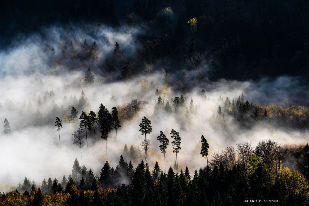 Nebel Schränkt Die Sicht Auf Knapp 50 M Ein www.fotocommunity.de