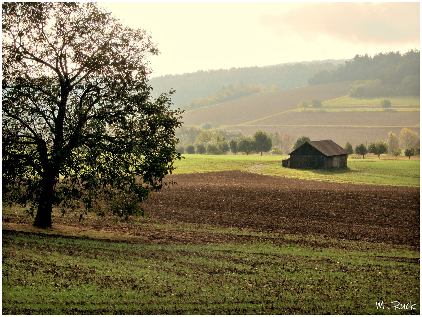 Die Nebel lichten sich ,