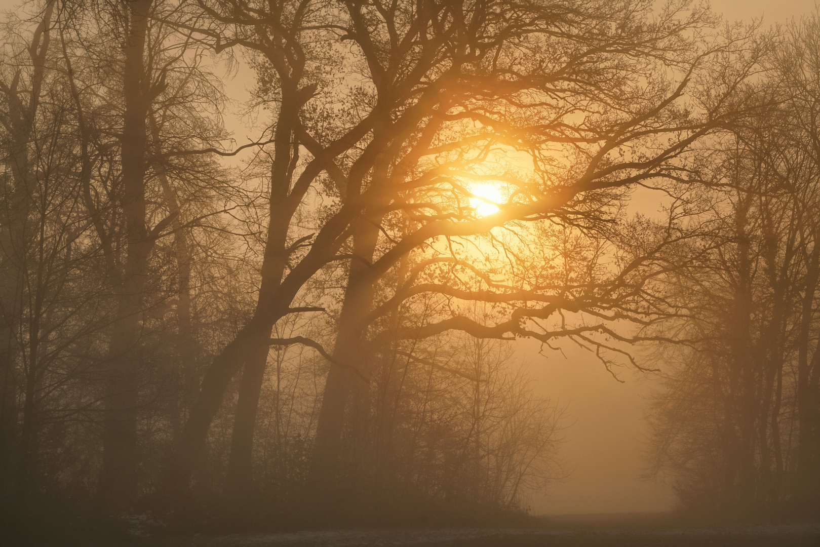 Die Nebel lichten sich