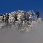 Die Nebel lichten sich ...