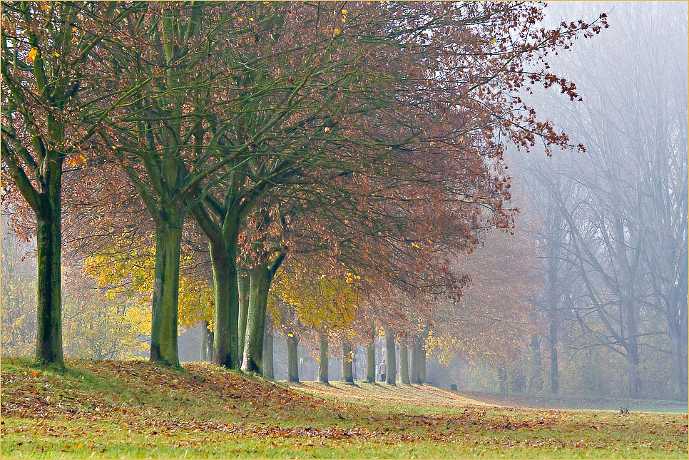 Die Nebel lichten sich