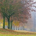 Die Nebel lichten sich